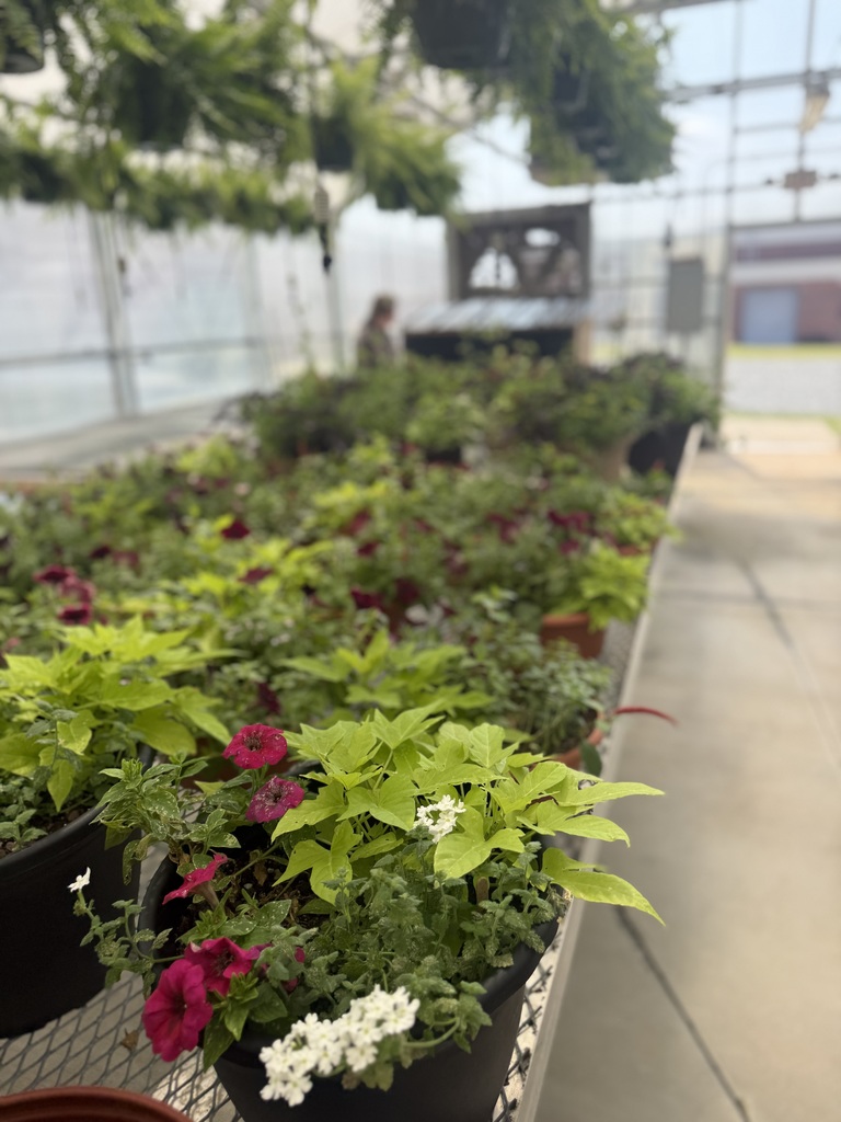 Green House
