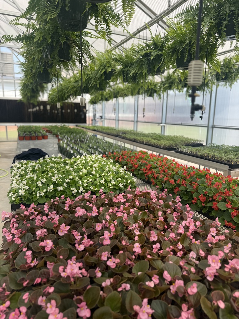 green house stock