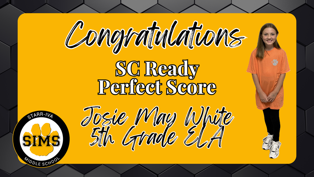 SC READY PERFECT SCORES