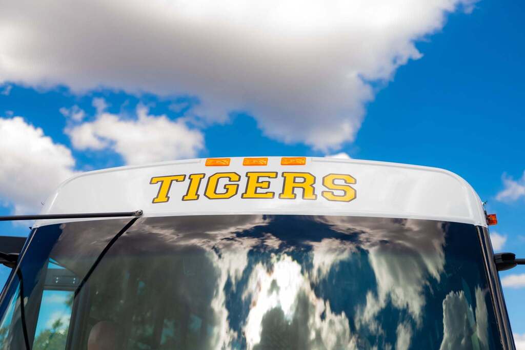 New Bus
