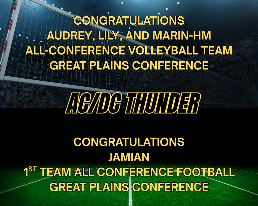 FB VB ALL CONFERENCE