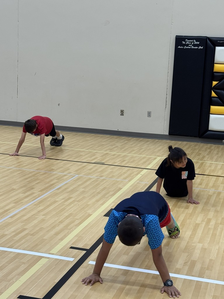 PE
