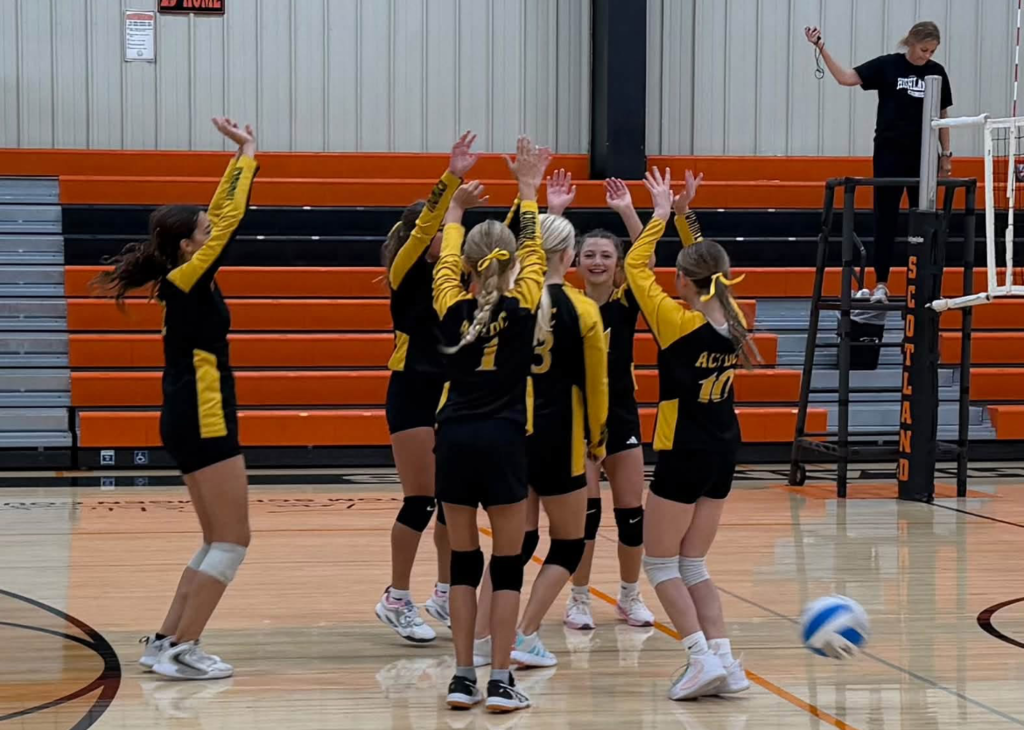 MSVB