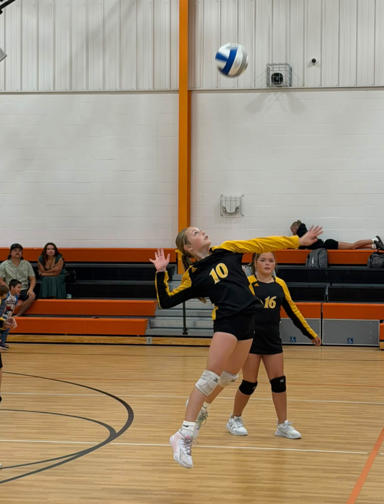 MSVB