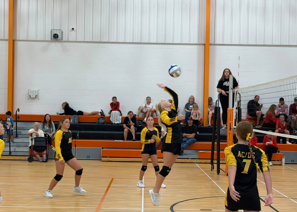 MSVB