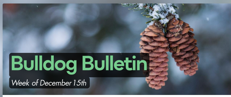 Bulldog Bulletin