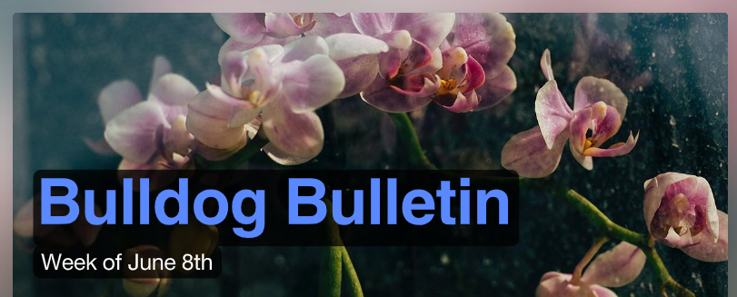 Bulldog Bulletin