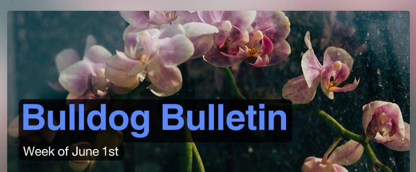 Bulldog Bulletin