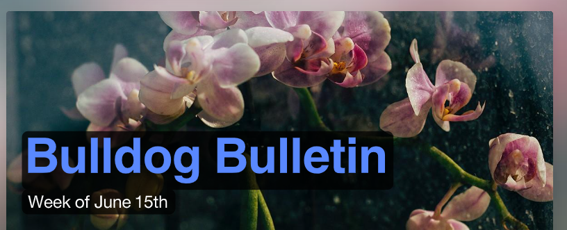 Bulldog Bulletin
