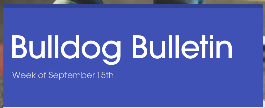 Bulldog Bulletin 4