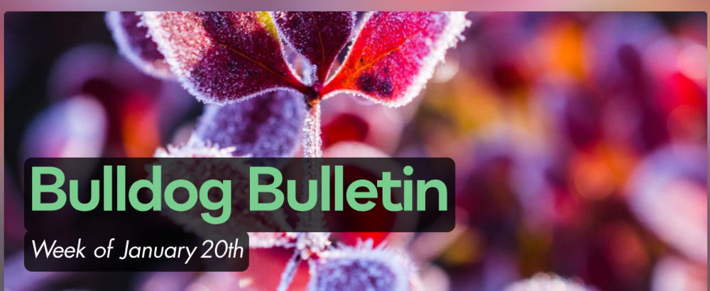 Bulldog Bulletin 19
