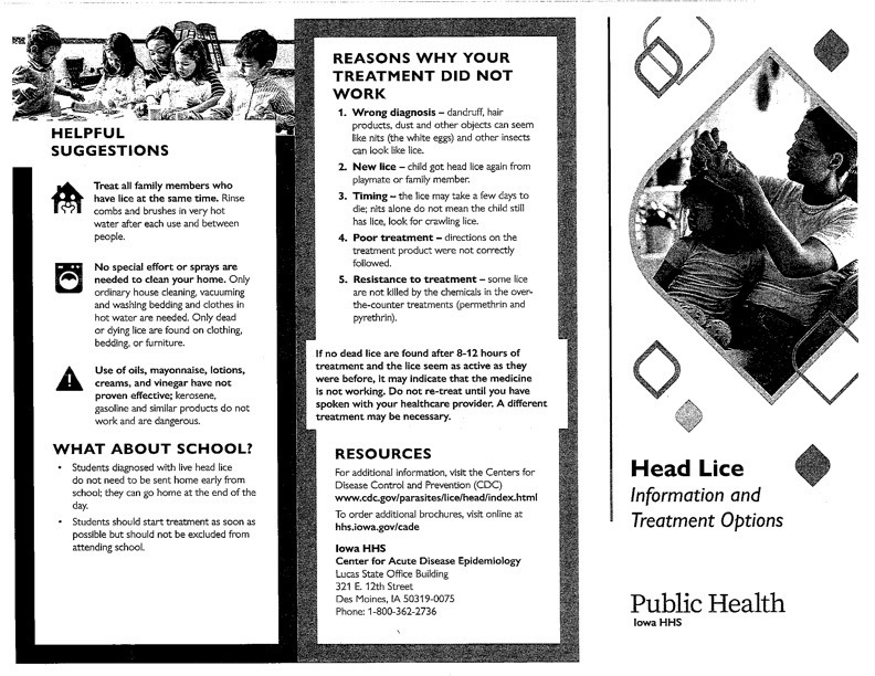 Lice Flyer pg 2