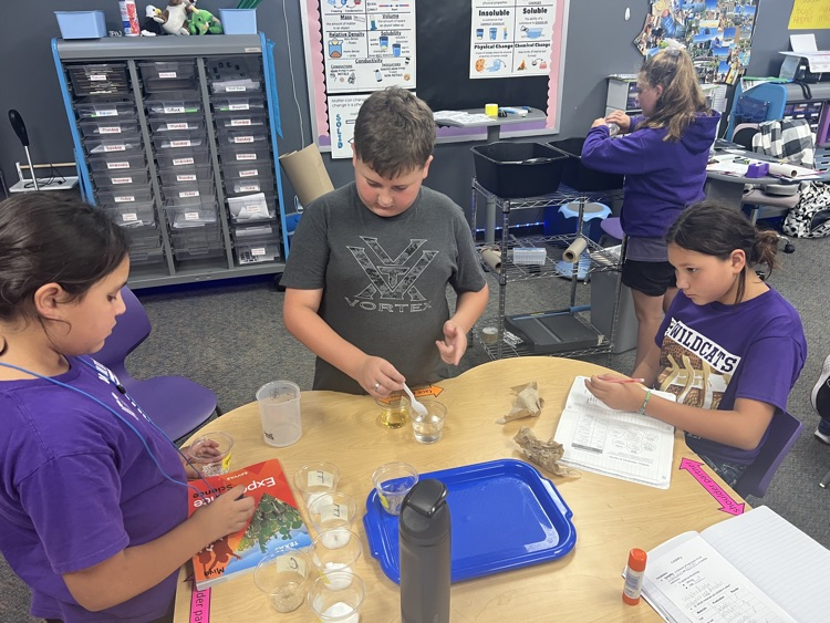 Science Experiment