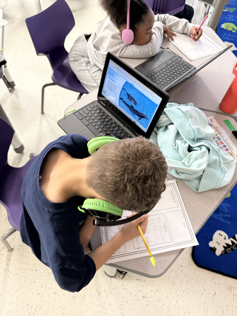 Our first graders in Mrs. Buchanan’s class are officially becoming experts! 🐾 From dolphins to desert snakes, these students are hard at work on their animal research projects. It’s so much more than just drawing—they are learning how to take their planning sheets and transform them into complete sentences. We are so proud of the focus they are showing during the revising and editing process as they bring their books to life! 📝✨