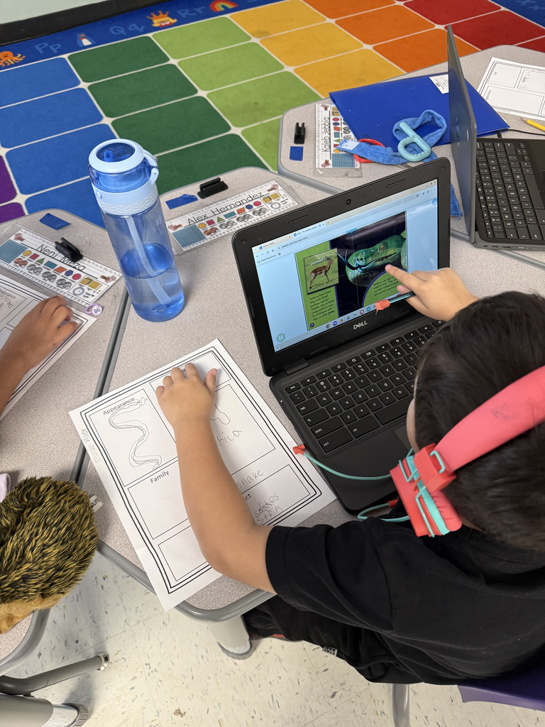 Our first graders in Mrs. Buchanan’s class are officially becoming experts! 🐾 From dolphins to desert snakes, these students are hard at work on their animal research projects. It’s so much more than just drawing—they are learning how to take their planning sheets and transform them into complete sentences. We are so proud of the focus they are showing during the revising and editing process as they bring their books to life! 📝✨