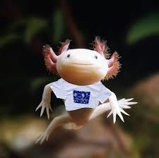 Just a friendly reminder that tomorrow is the final day of our Read-Alotl shirt extension! If you haven't grabbed one yet, you have until the end of the school day tomorrow, Monday, Feb 9th, to get those online orders in.  Let’s make sure every student is ready to show off their reading spirit for Read Across America Week!   Final chance to shop: http://jmcustomscreenprinting.com/readalotl/shop/home