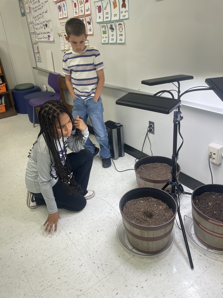 From soil to sprout! Our 2nd graders are getting a front-row seat to the life cycle of plants. Mrs. Walker-Campos has her science classes busy measuring, watering, and monitoring their new classroom garden. It’s more than just growing food; it’s about patience, observation, and discovery.