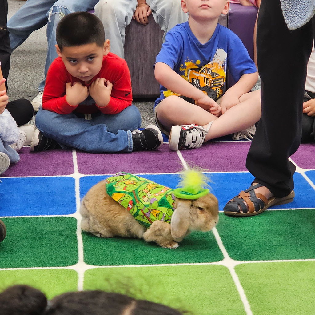 We had the best time welcoming Ruby the Golden Doodle and Bojangles the Bunny this week. From Bojangles’ stylish hats to Ruby’s endless supply of wagging tails, our students were all smiles. There’s nothing quite like a "paws-itive" break in the school day to keep everyone motivated! https://faithfulpawshouston.org/