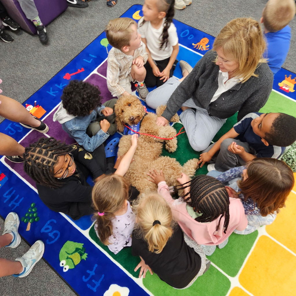 We had the best time welcoming Ruby the Golden Doodle and Bojangles the Bunny this week. From Bojangles’ stylish hats to Ruby’s endless supply of wagging tails, our students were all smiles. There’s nothing quite like a "paws-itive" break in the school day to keep everyone motivated! https://faithfulpawshouston.org/