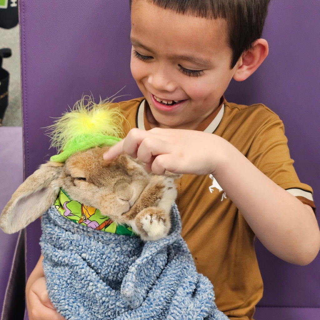 We had the best time welcoming Ruby the Golden Doodle and Bojangles the Bunny this week. From Bojangles’ stylish hats to Ruby’s endless supply of wagging tails, our students were all smiles. There’s nothing quite like a "paws-itive" break in the school day to keep everyone motivated! https://faithfulpawshouston.org/