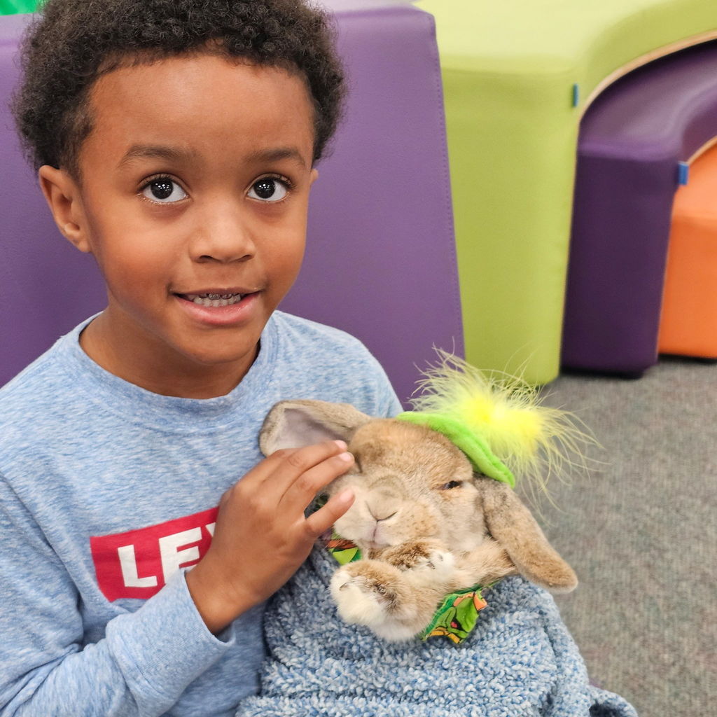 We had the best time welcoming Ruby the Golden Doodle and Bojangles the Bunny this week. From Bojangles’ stylish hats to Ruby’s endless supply of wagging tails, our students were all smiles. There’s nothing quite like a "paws-itive" break in the school day to keep everyone motivated! https://faithfulpawshouston.org/