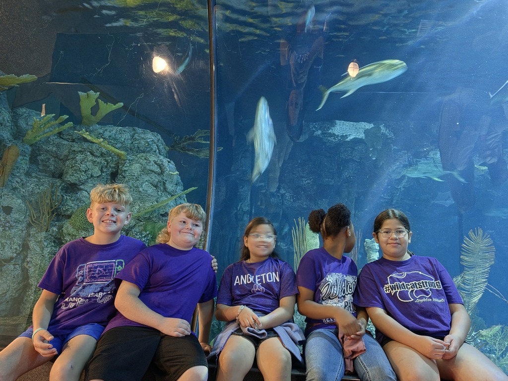 Deep dives and giant discoveries! Our 4th graders took over Moody Gardens Aquarium, getting up close with everything from mesmerizing jellyfish to our favorite feathered friends in the penguin exhibit. Seeing their faces light up as they connect their classroom lessons to the real world is what it’s all about!