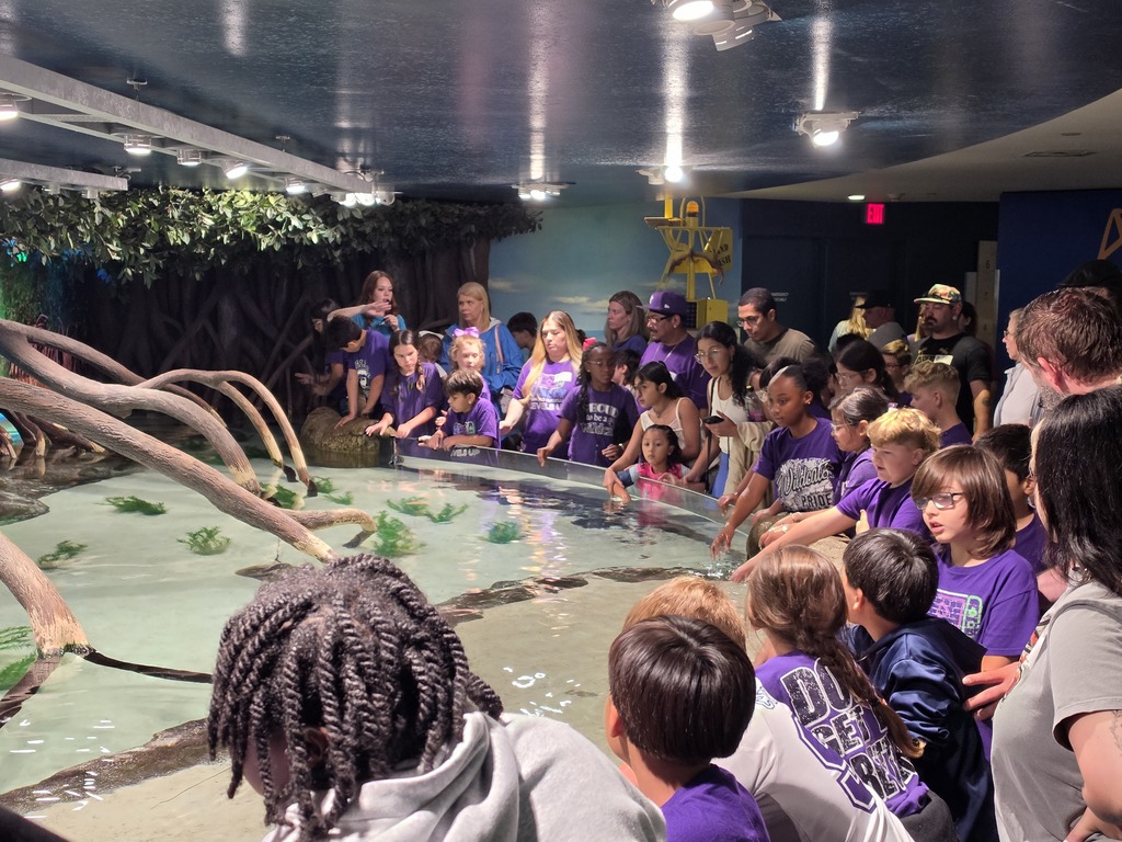 Deep dives and giant discoveries! Our 4th graders took over Moody Gardens Aquarium, getting up close with everything from mesmerizing jellyfish to our favorite feathered friends in the penguin exhibit. Seeing their faces light up as they connect their classroom lessons to the real world is what it’s all about!