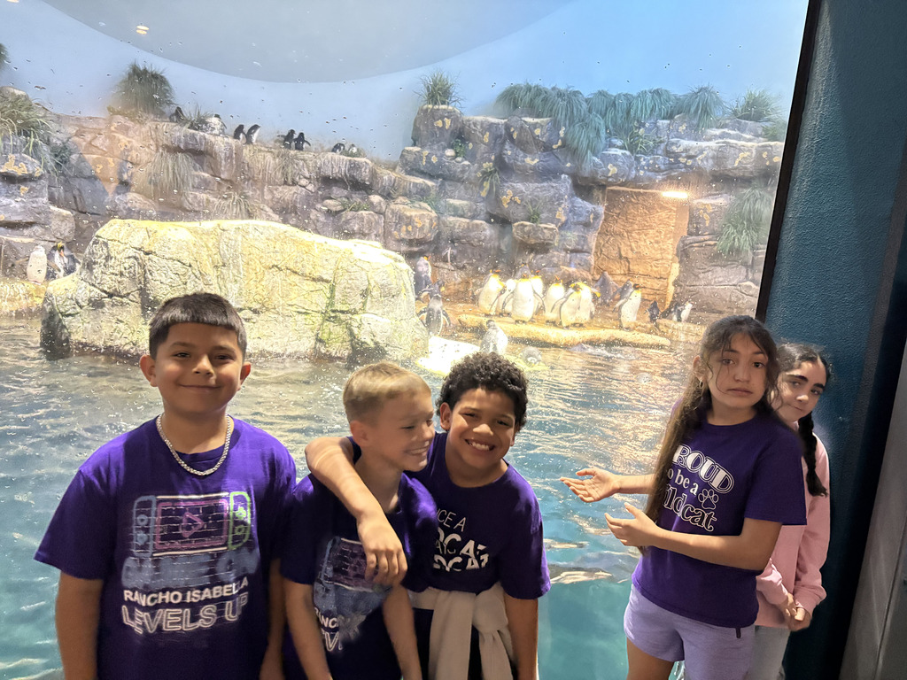 Deep dives and giant discoveries! Our 4th graders took over Moody Gardens Aquarium, getting up close with everything from mesmerizing jellyfish to our favorite feathered friends in the penguin exhibit. Seeing their faces light up as they connect their classroom lessons to the real world is what it’s all about!
