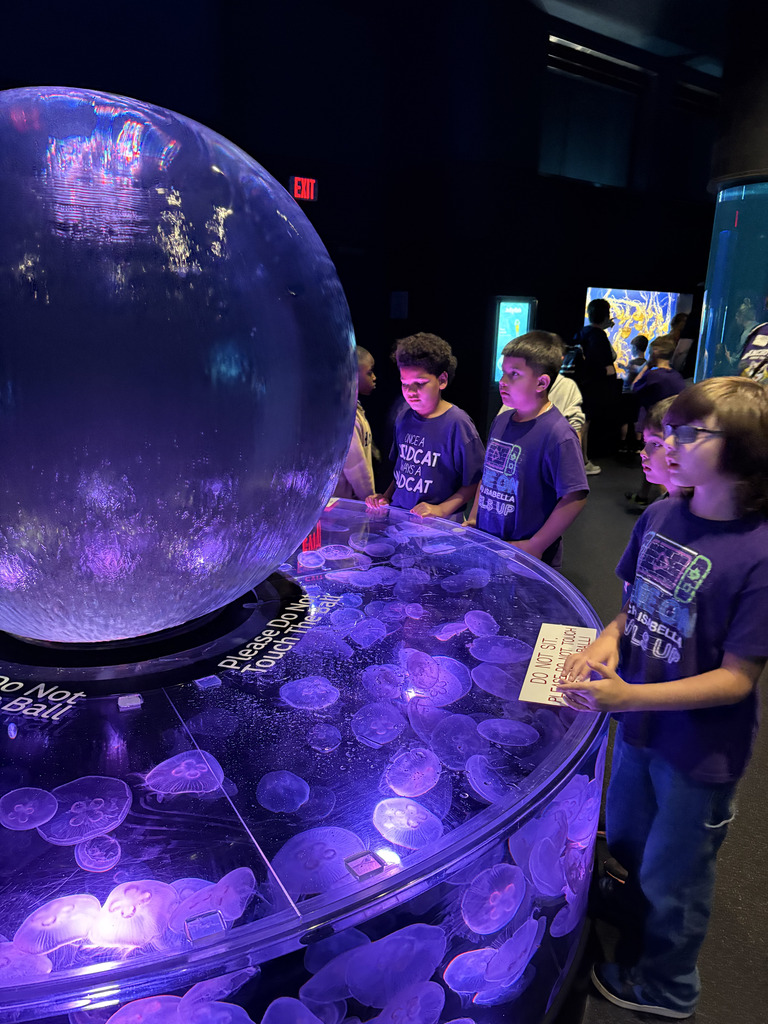 Deep dives and giant discoveries! Our 4th graders took over Moody Gardens Aquarium, getting up close with everything from mesmerizing jellyfish to our favorite feathered friends in the penguin exhibit. Seeing their faces light up as they connect their classroom lessons to the real world is what it’s all about!