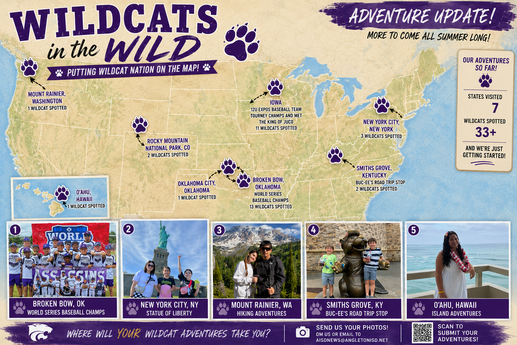wildcats in the wild