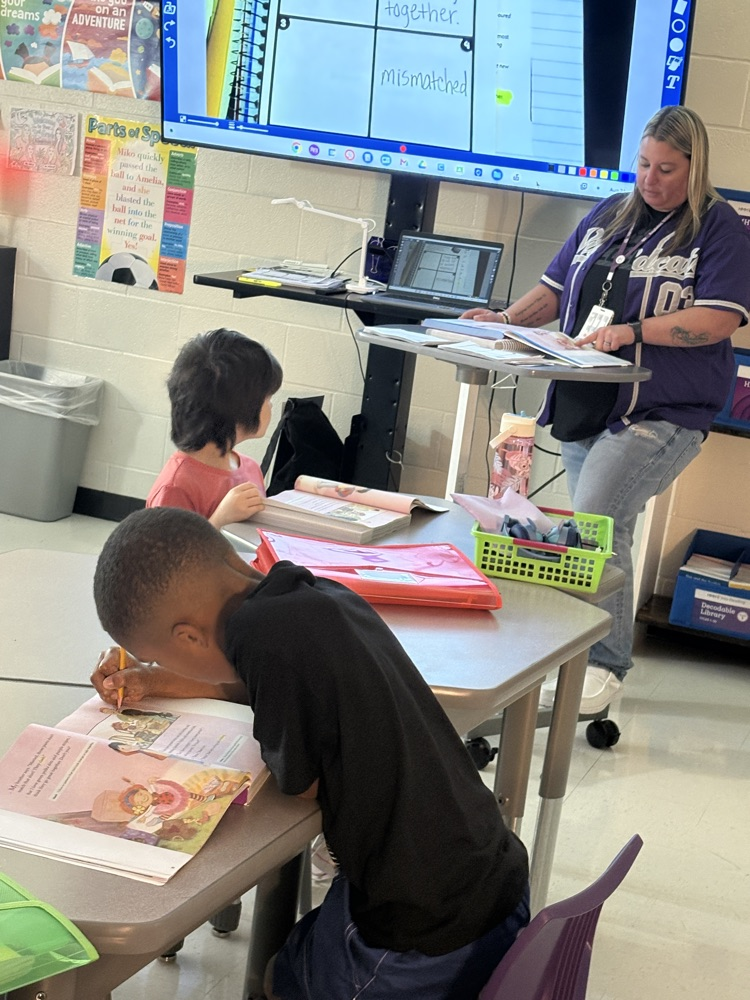 3rd grade RLA