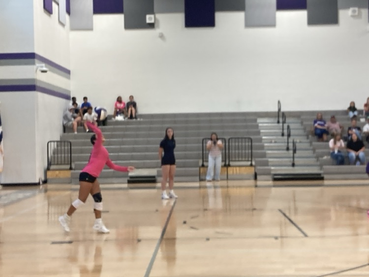 VB