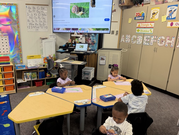 working hard on their snails!