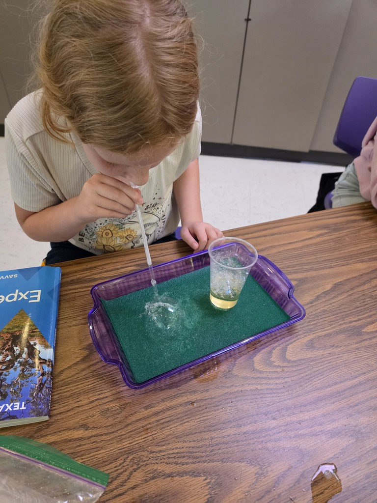 Science in action! Mrs. Edwards' 3rd graders spent the day exploring the states of matter. Through hands-on experiments, our young scientists trapped gases in bubble structures to answer the big question: What are the shapes of solids, liquids, and gases? Way to go, future scientists!