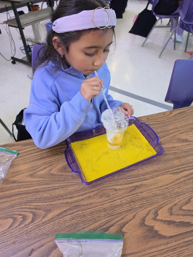Science in action! Mrs. Edwards' 3rd graders spent the day exploring the states of matter. Through hands-on experiments, our young scientists trapped gases in bubble structures to answer the big question: What are the shapes of solids, liquids, and gases? Way to go, future scientists!