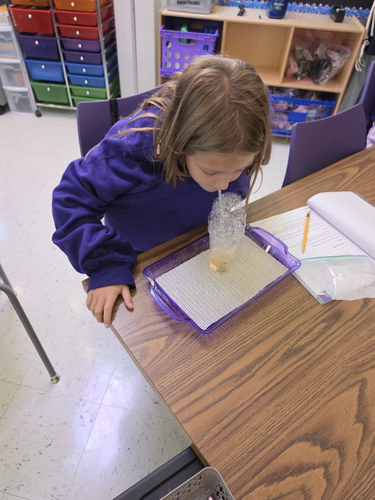 Science in action! Mrs. Edwards' 3rd graders spent the day exploring the states of matter. Through hands-on experiments, our young scientists trapped gases in bubble structures to answer the big question: What are the shapes of solids, liquids, and gases? Way to go, future scientists!