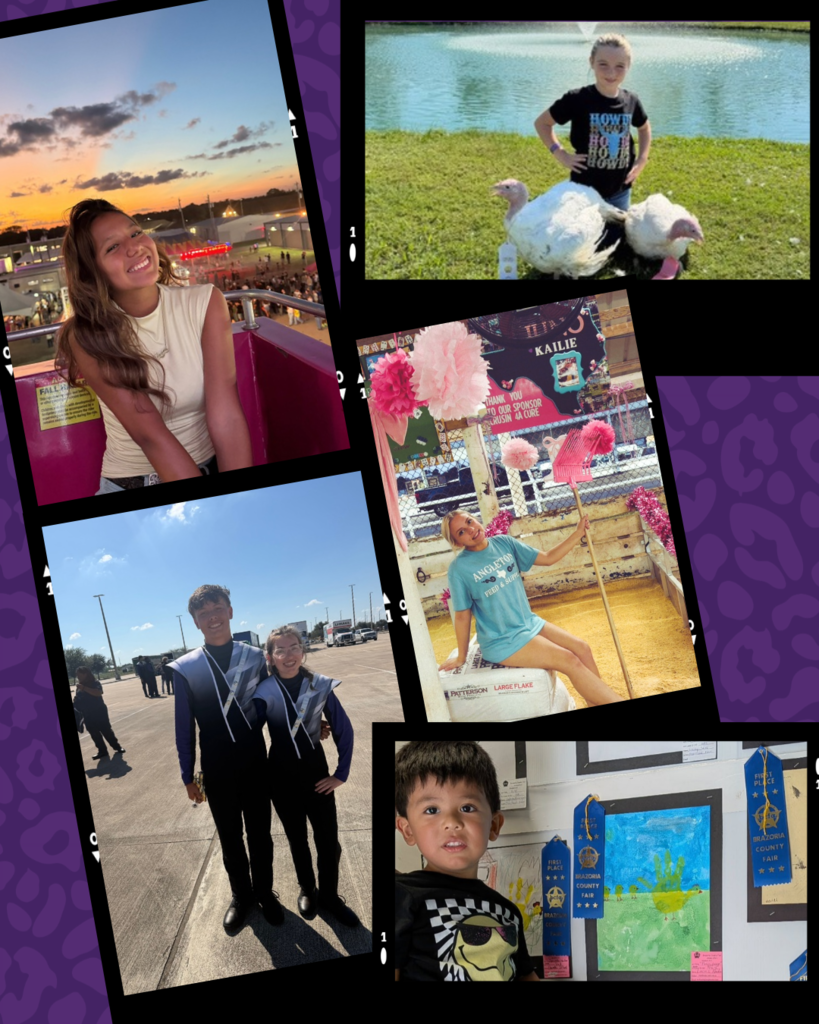 wildcats in the wild fair roundup