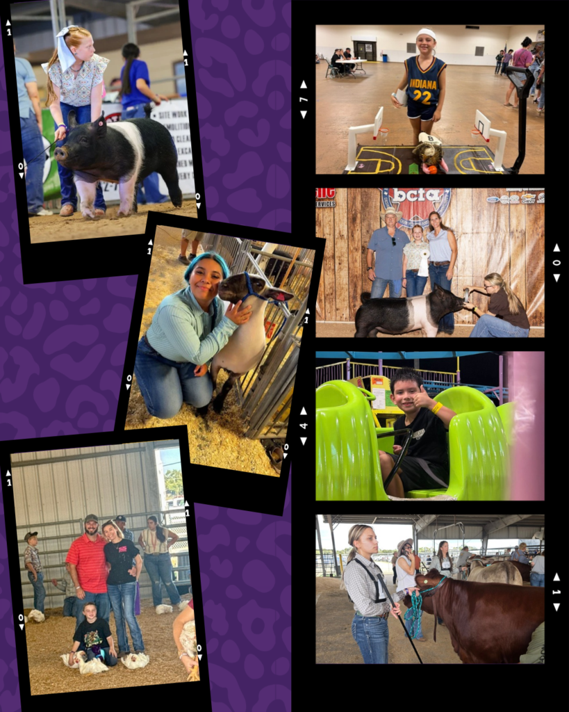 wildcats in the wild fair roundup