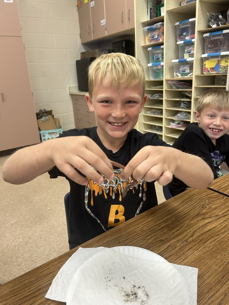 2nd grader