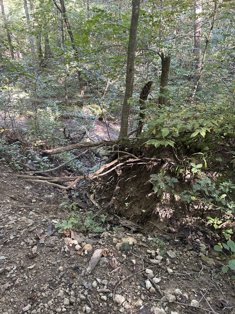 erosion