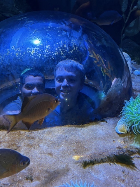 students at the National Mississippi River Museum & Aquarium