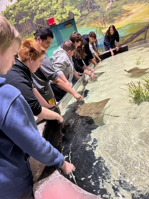 students at the National Mississippi River Museum & Aquarium