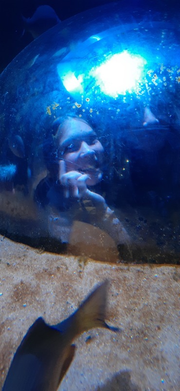 students at the National Mississippi River Museum & Aquarium
