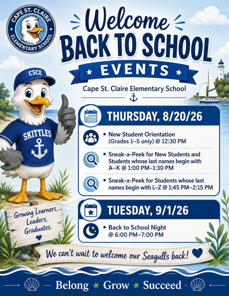 Back to school events flyer with cartoon seagull