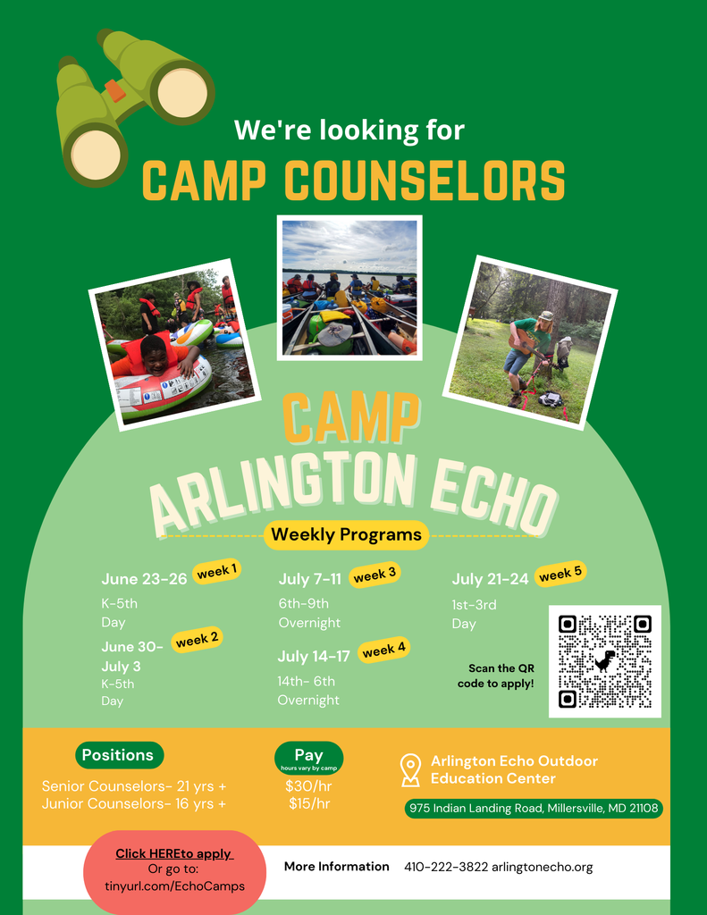 Camp Counselor Hiring Flyer
