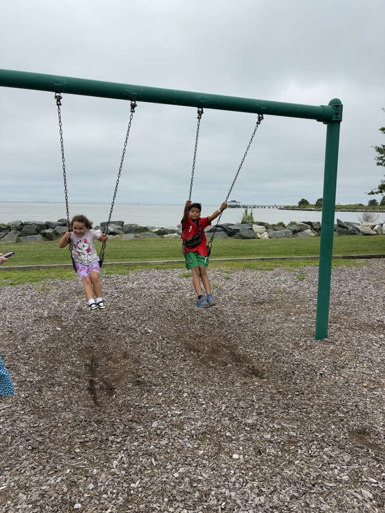 swing