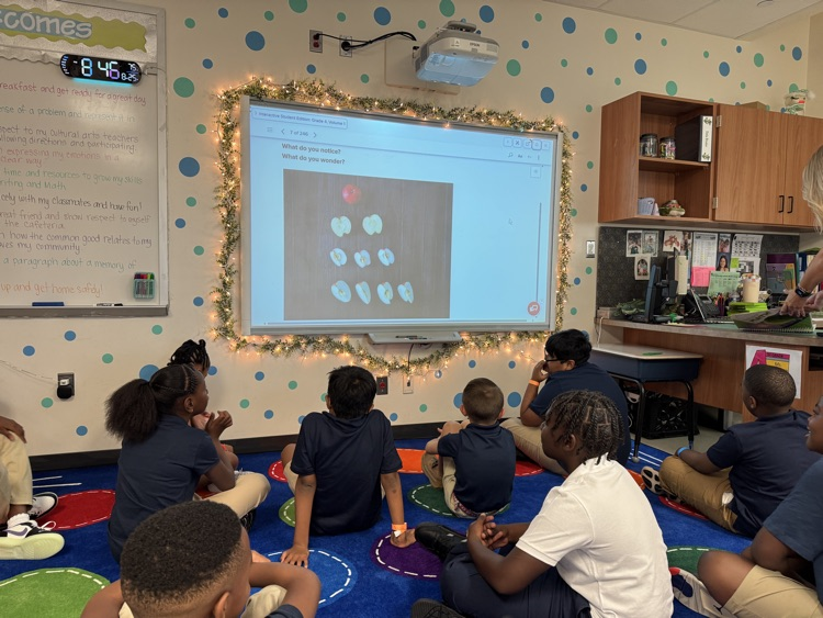 kids in the classroom for math