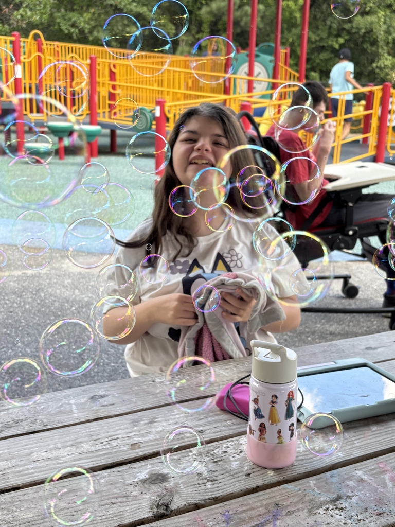 student bubbles