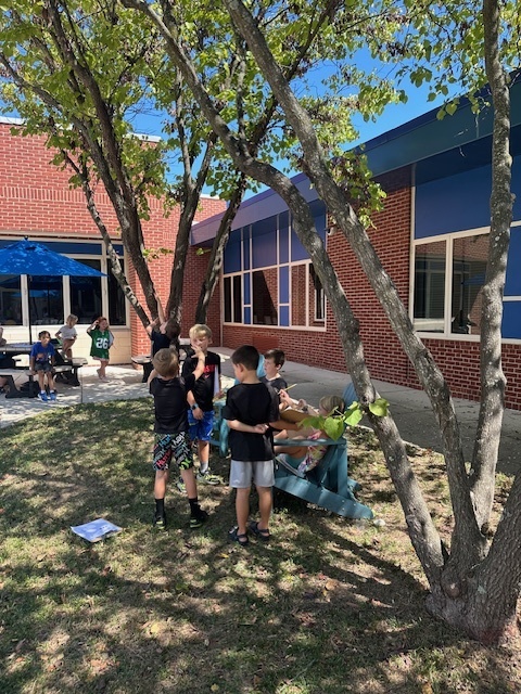 Students under a tree. 