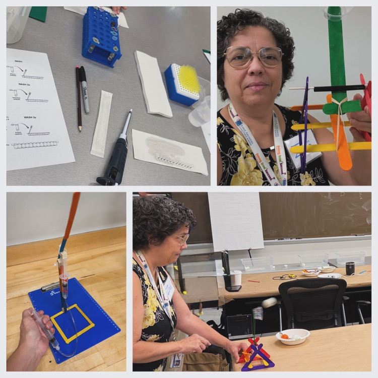STEM Educator Training